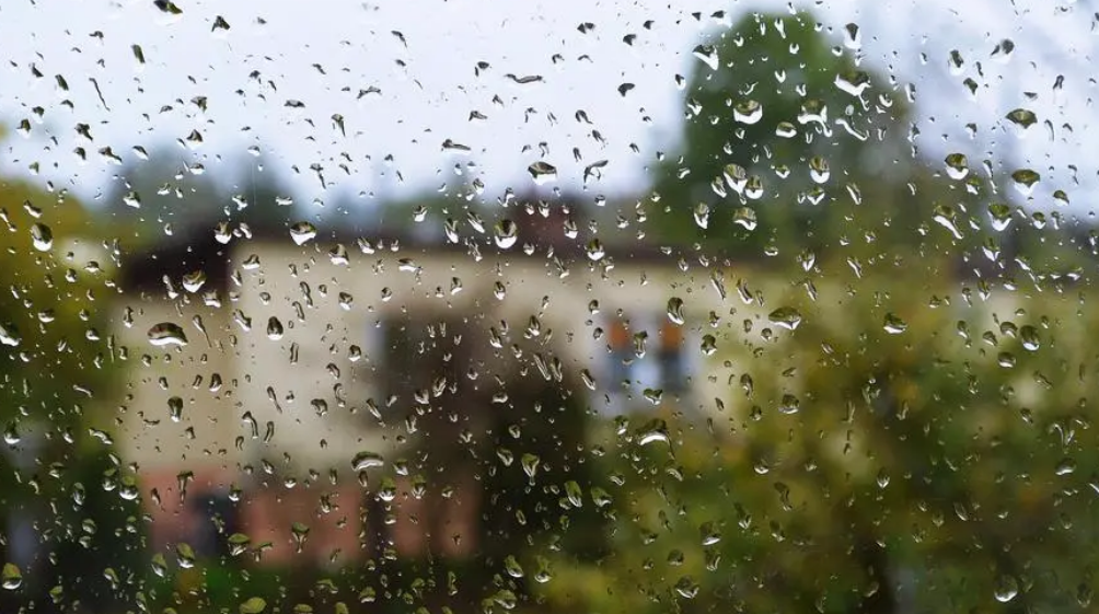 一场冬雨，一份思念（有关冬雨的唯美诗词）