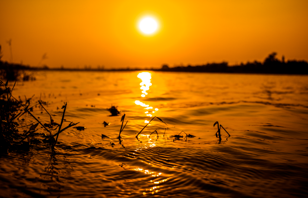 夕阳人生经典诗词（有关夕阳的经典诗句）