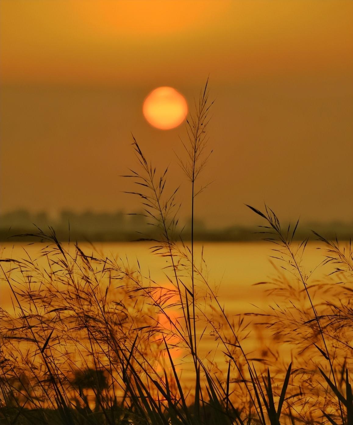 夕阳人生经典诗词（有关夕阳的经典诗句）