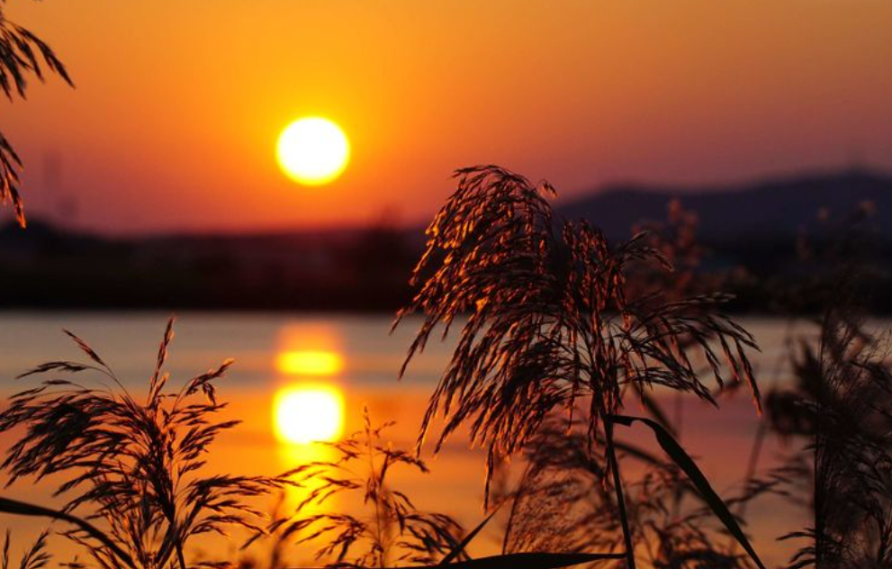 夕阳人生经典诗词（有关夕阳的经典诗句）