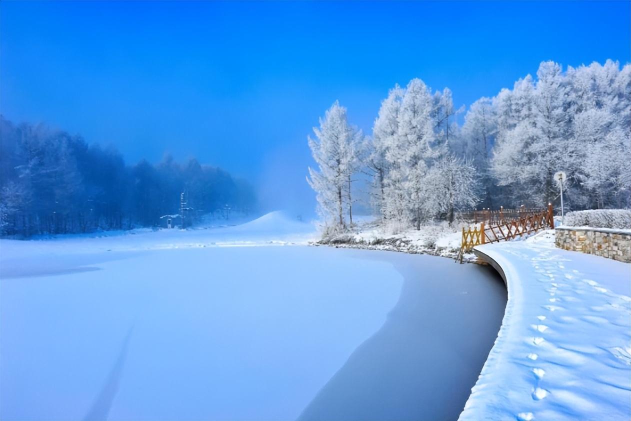 喜雪经典诗词有哪些（有关喜雪的经典诗词）