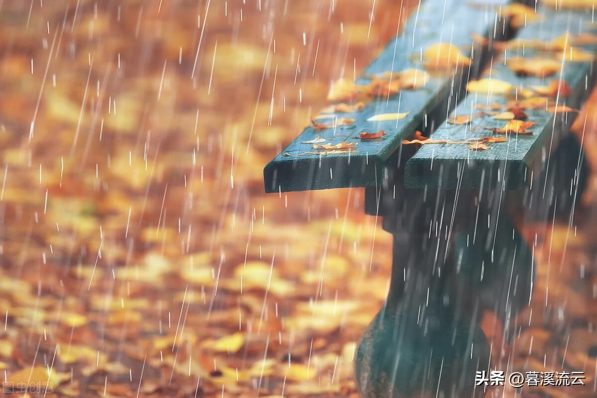 秋雨治愈经典诗词（十首清冷秋雨诗词）