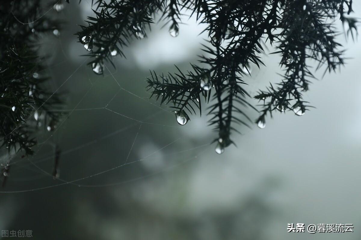 袅袅凉风动，凄凄寒露零（推荐十首清美寒露古诗）