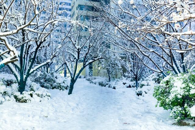 描写雪景的唯美古诗词（九句唯美雪景诗词）