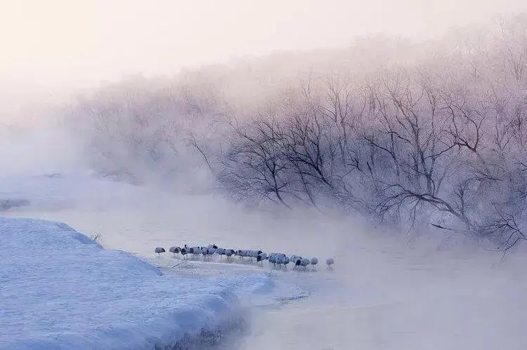 大雪唯美古诗词（描写大雪的经典诗词）