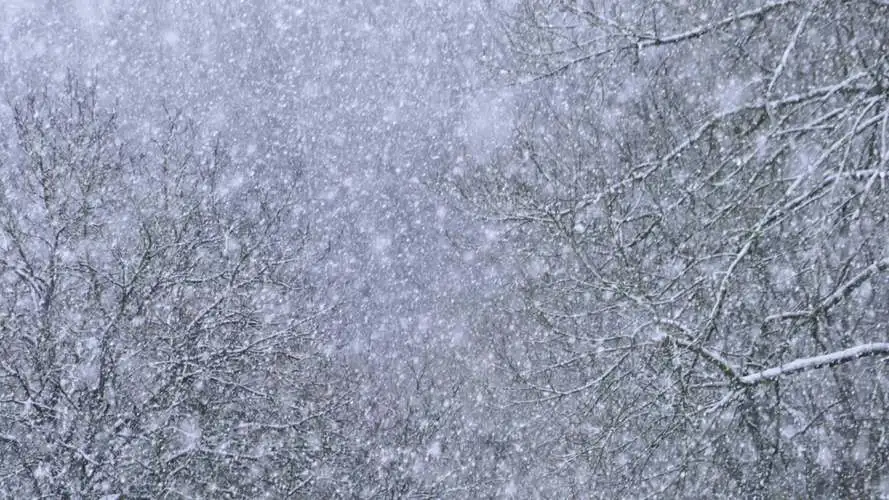 大雪唯美古诗词（描写大雪的经典诗词）