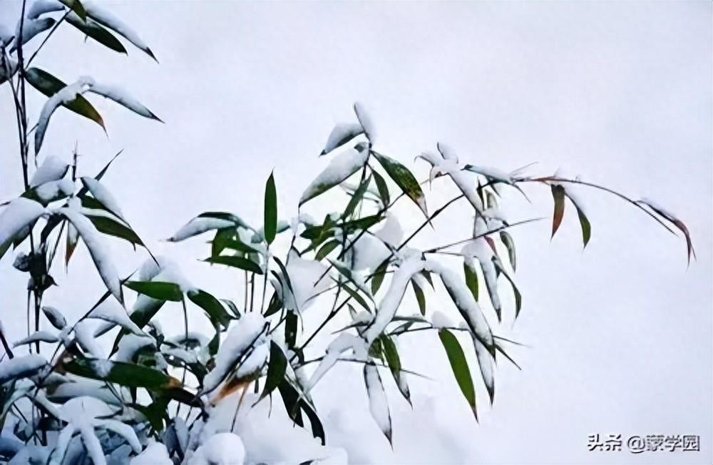 大雪唯美古诗词（描写大雪的经典诗词）