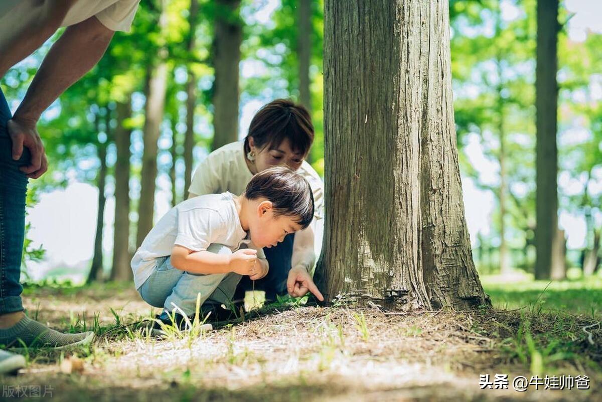 小学生家庭教育经验分享（不能错过的10个宝贵经验）