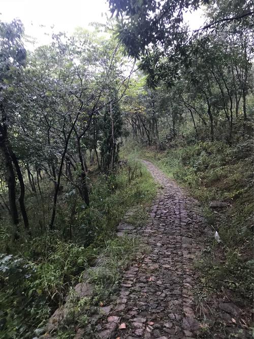 人生如登山的励志句子（人生如登山坚持的句子）