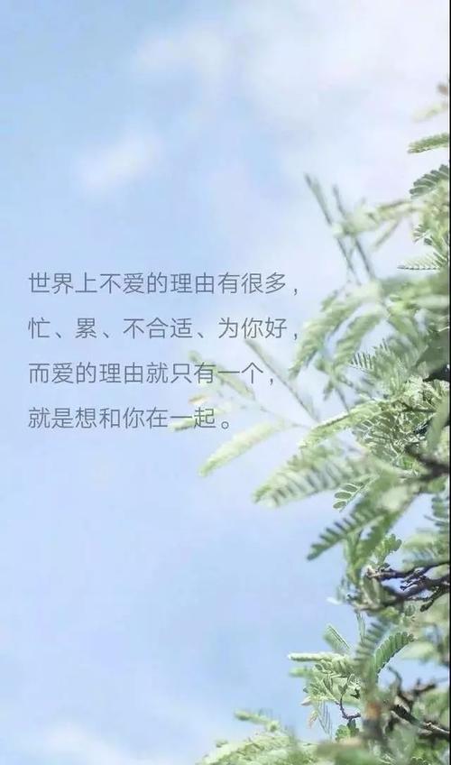 有关人生感悟经典名言语录的好句有哪些（点亮生命之灯）