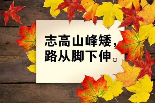 有关人生感悟的名言名句的短句子（人生感悟：名言名句）