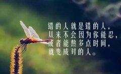 关于人生感悟的句子名人名言（生命之光——以人生感悟的名言警句为主题）