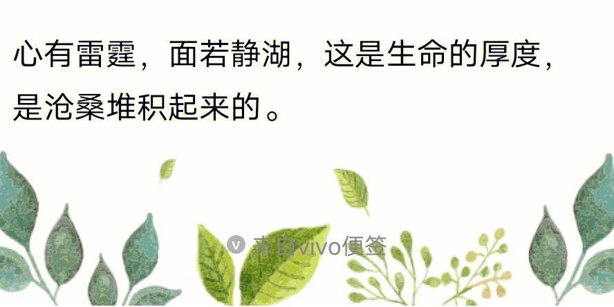 有关人生别留遗憾好句摘抄的句子有哪些（人生别留遗憾——寻找美好，留下足迹）