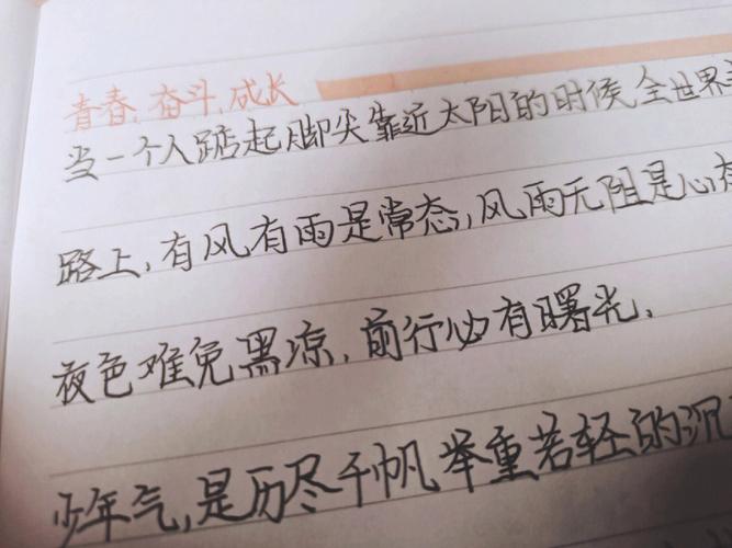 劝学表示坚持的句子（坚持不懈，追求梦想）