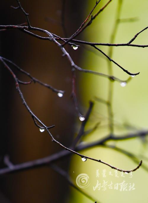 形容一场秋雨一场寒的说说（秋雨绵绵一场秋雨一场寒朋友圈说说）