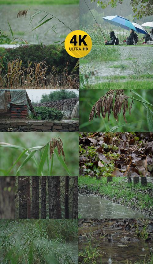 关于秋天下雨的说说（《秋雨细细，沁人心脾》）