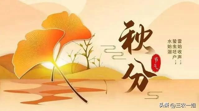 秋分节气祝福语朋友圈（秋分祝福语：25句唯美短句）