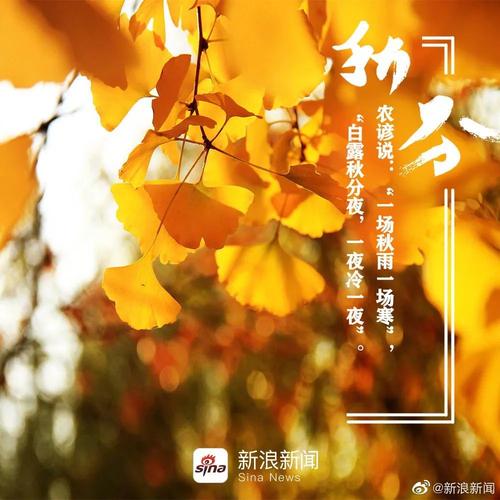 2021秋分节气微信说说祝福语（愿你如秋叶般，飘然自得）