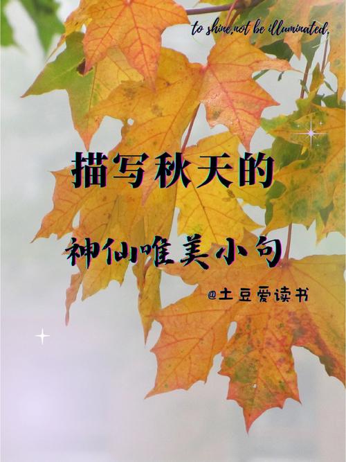 有关秋的短句（秋的韵味：缤纷的落叶，迷人的季节）