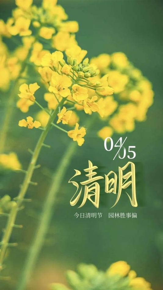 关于清明节的说说短句大全（花开花落，人生如梦；离合悲欢，情爱难忘。）