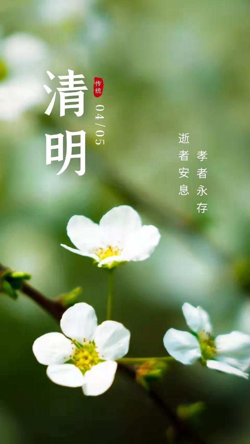 表达清明节朋友圈说说（清明节的说说心情短语）