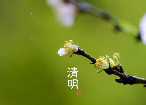 表达清明节朋友圈说说（清明节的说说心情短语）