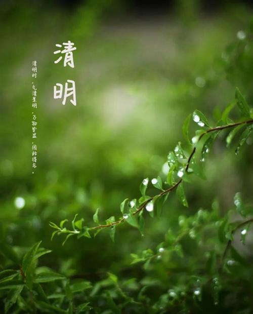 关于清明节的说说短句大全（清明节·唯美句子）