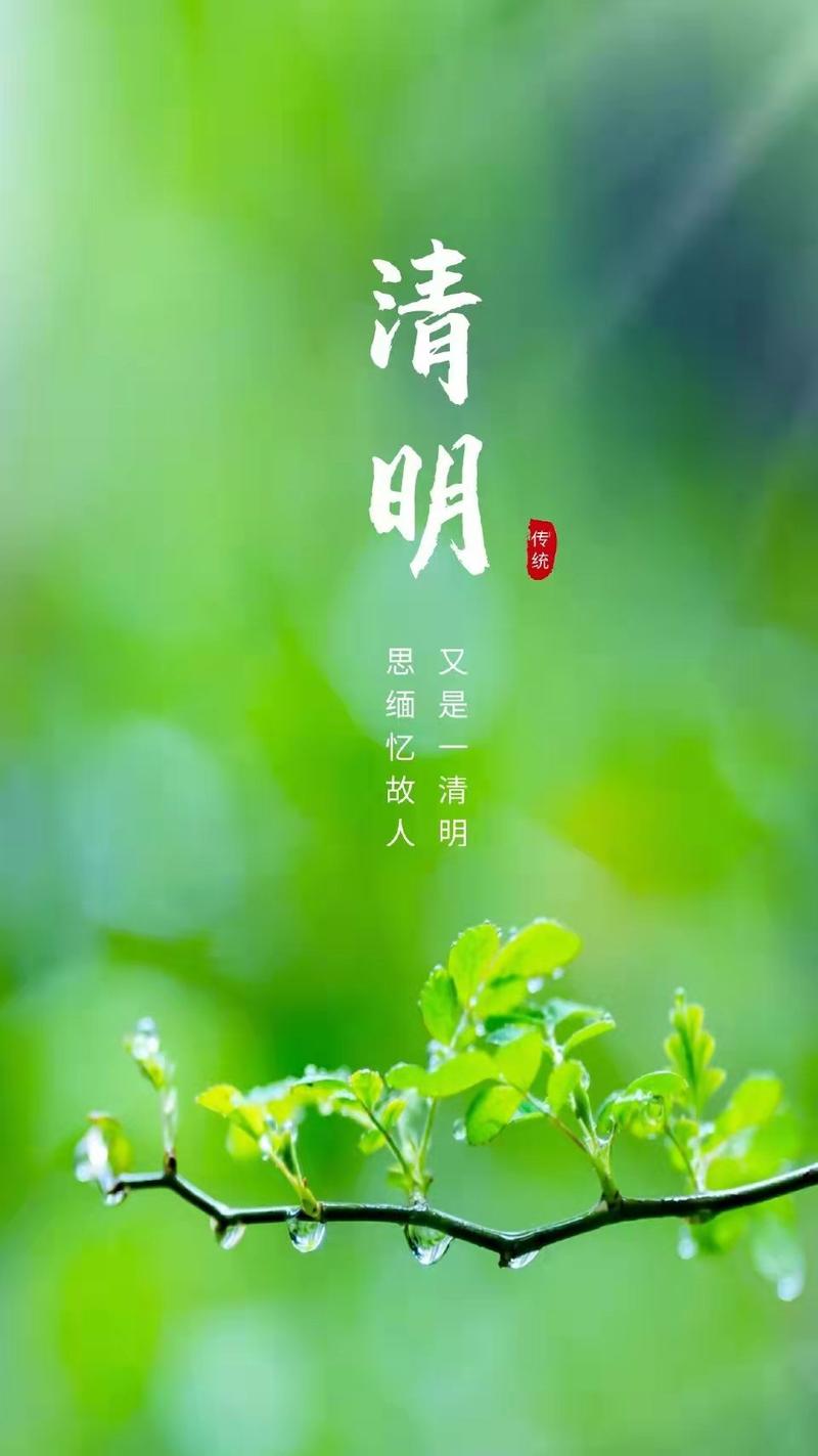 适合清明节发的朋友圈短句（清明节朋友圈句子说说语录）