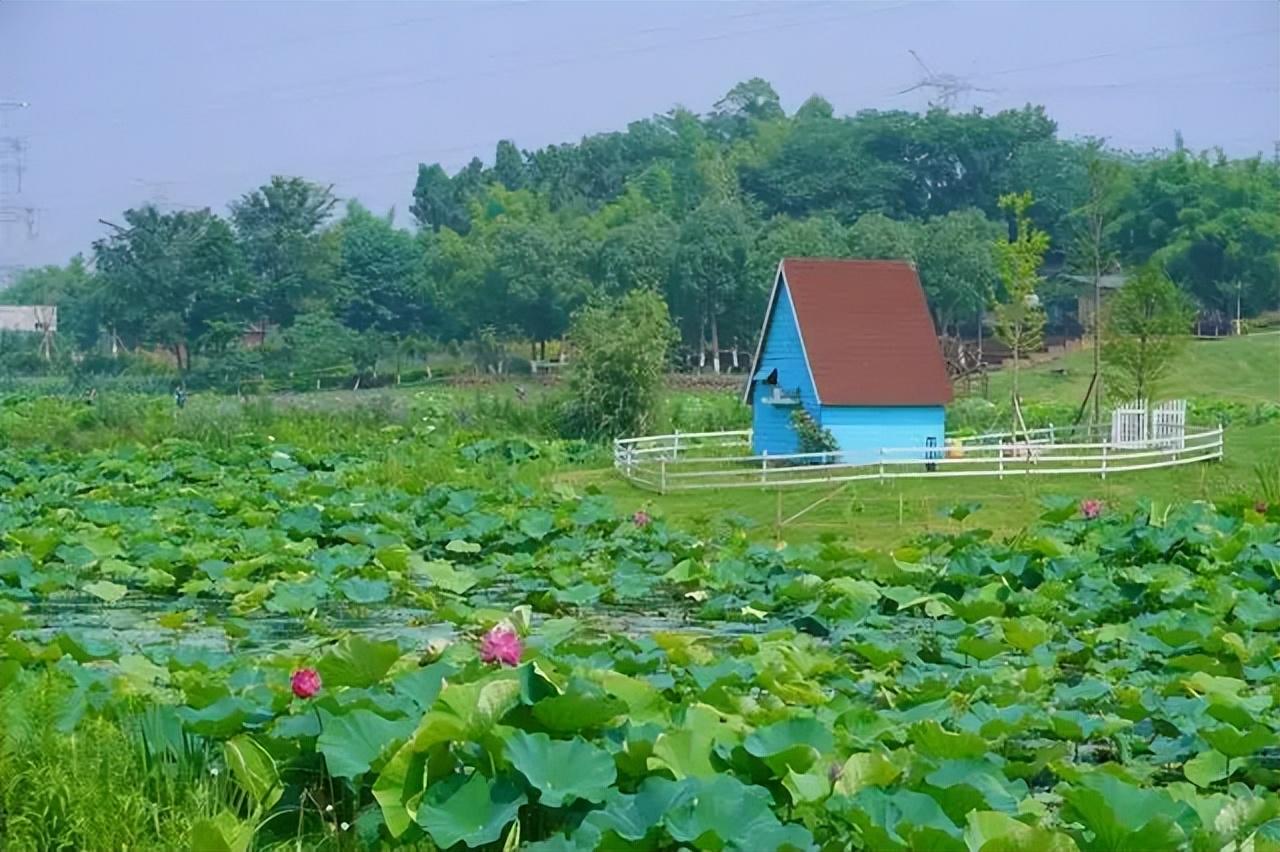 韩愈经典诗词名句（十首韩愈的五言诗）