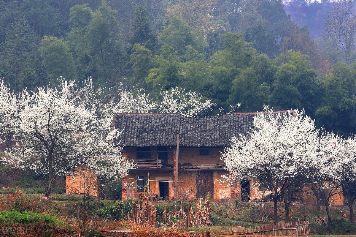 村居经典诗词有哪些（十五首经典村居诗词）