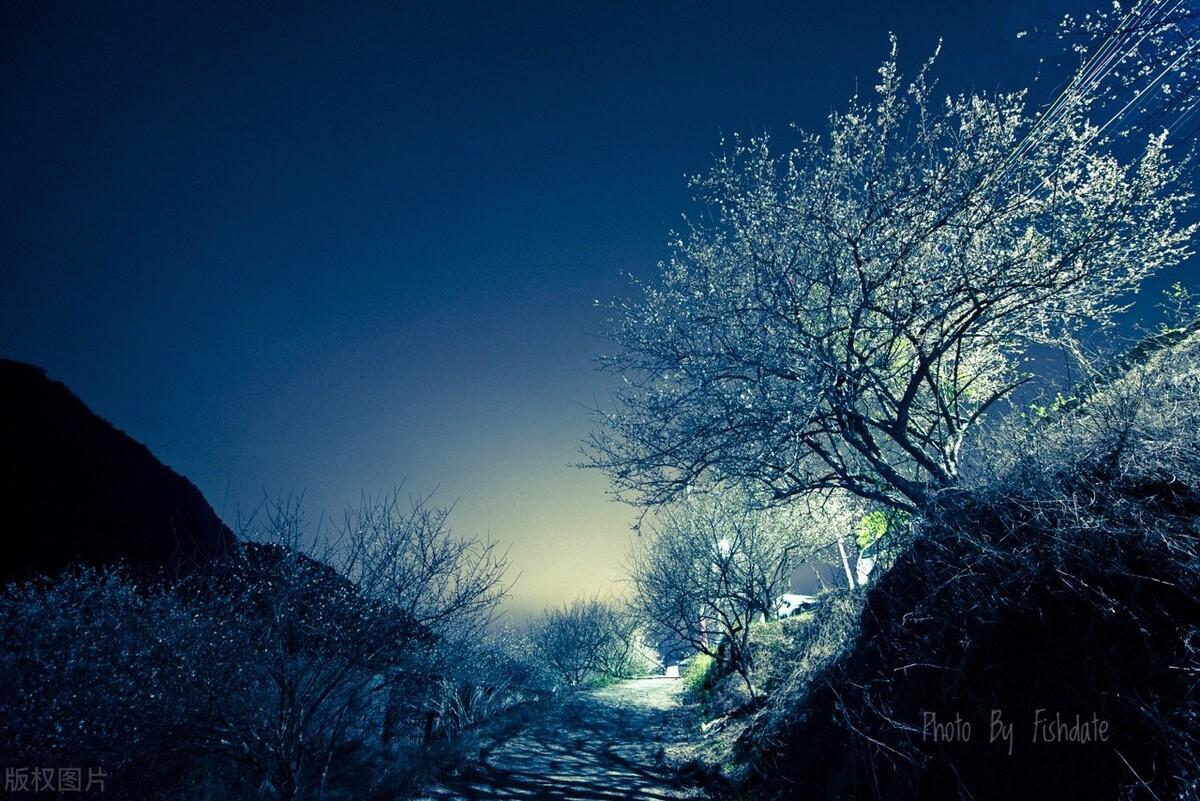 雪梅月经典诗词鉴赏（唯美的雪梅月诗词）