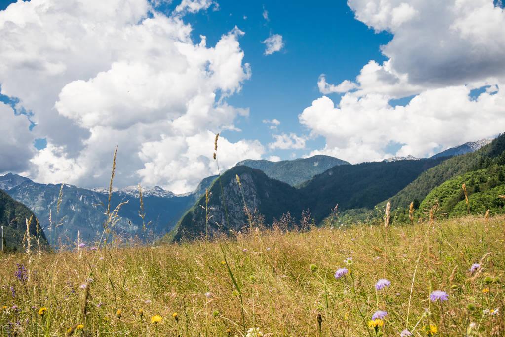 山不在高，仁者爱山（两首山痴的经典咏山诗词）