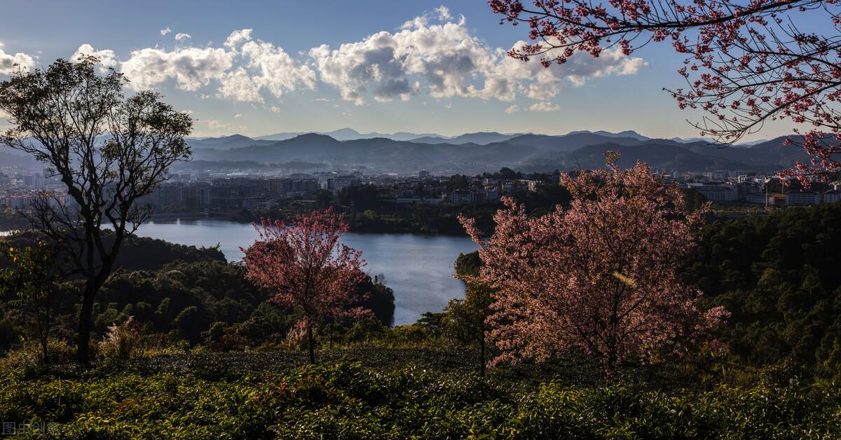 登山诗词名句赏析（描写登山的古诗词名句）