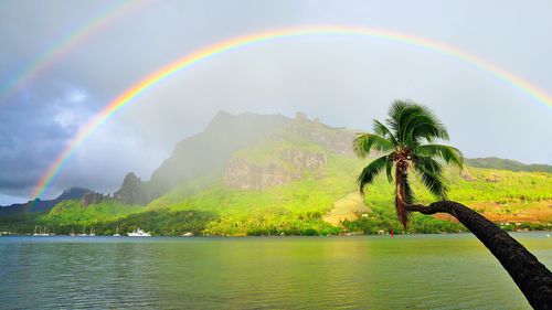 家乡的味道高中作文（《家乡的美景》）