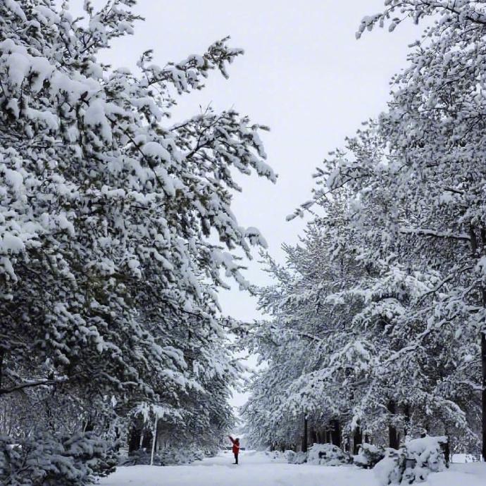 雪景诗词名句摘抄（描写雪景的唯美古诗词）