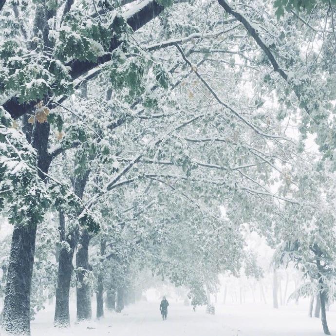 雪景诗词名句摘抄（描写雪景的唯美古诗词）