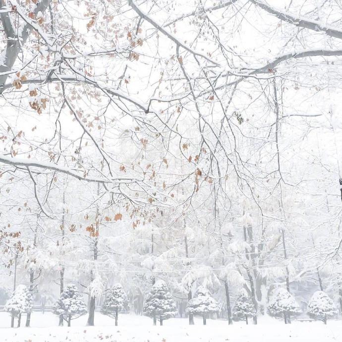 雪景诗词名句摘抄（描写雪景的唯美古诗词）