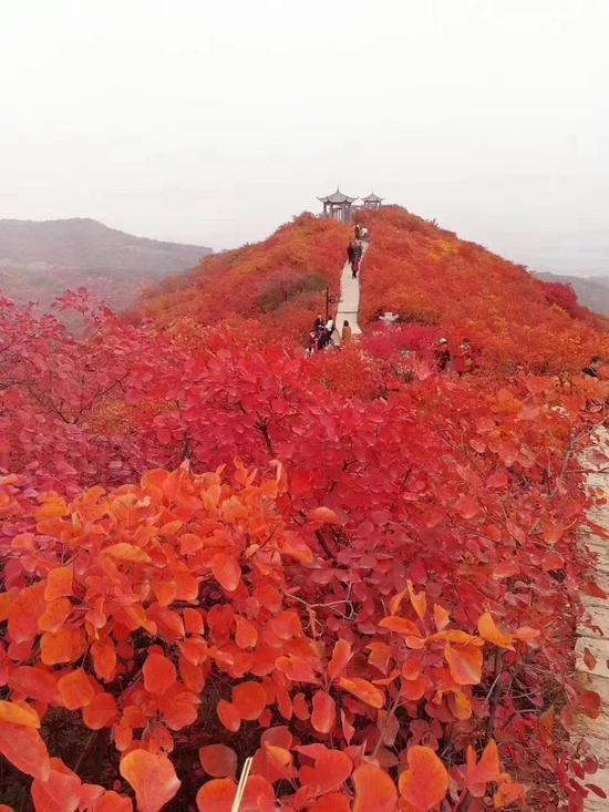 绿柳花红，炊烟袅袅（40首思乡古诗）