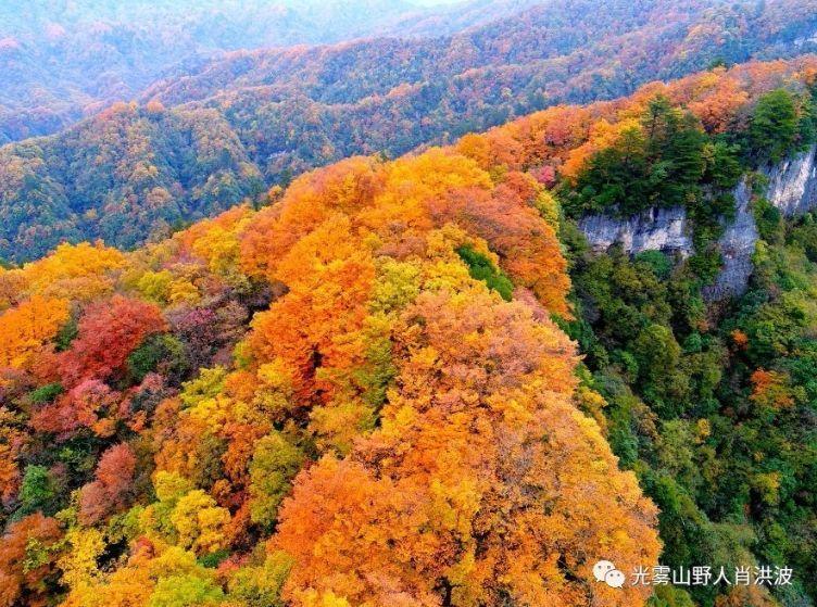 绿柳花红，炊烟袅袅（40首思乡古诗）