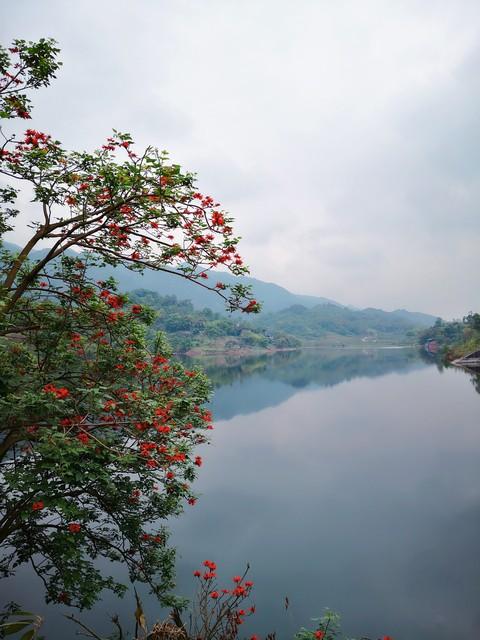 绿柳花红，炊烟袅袅（40首思乡古诗）