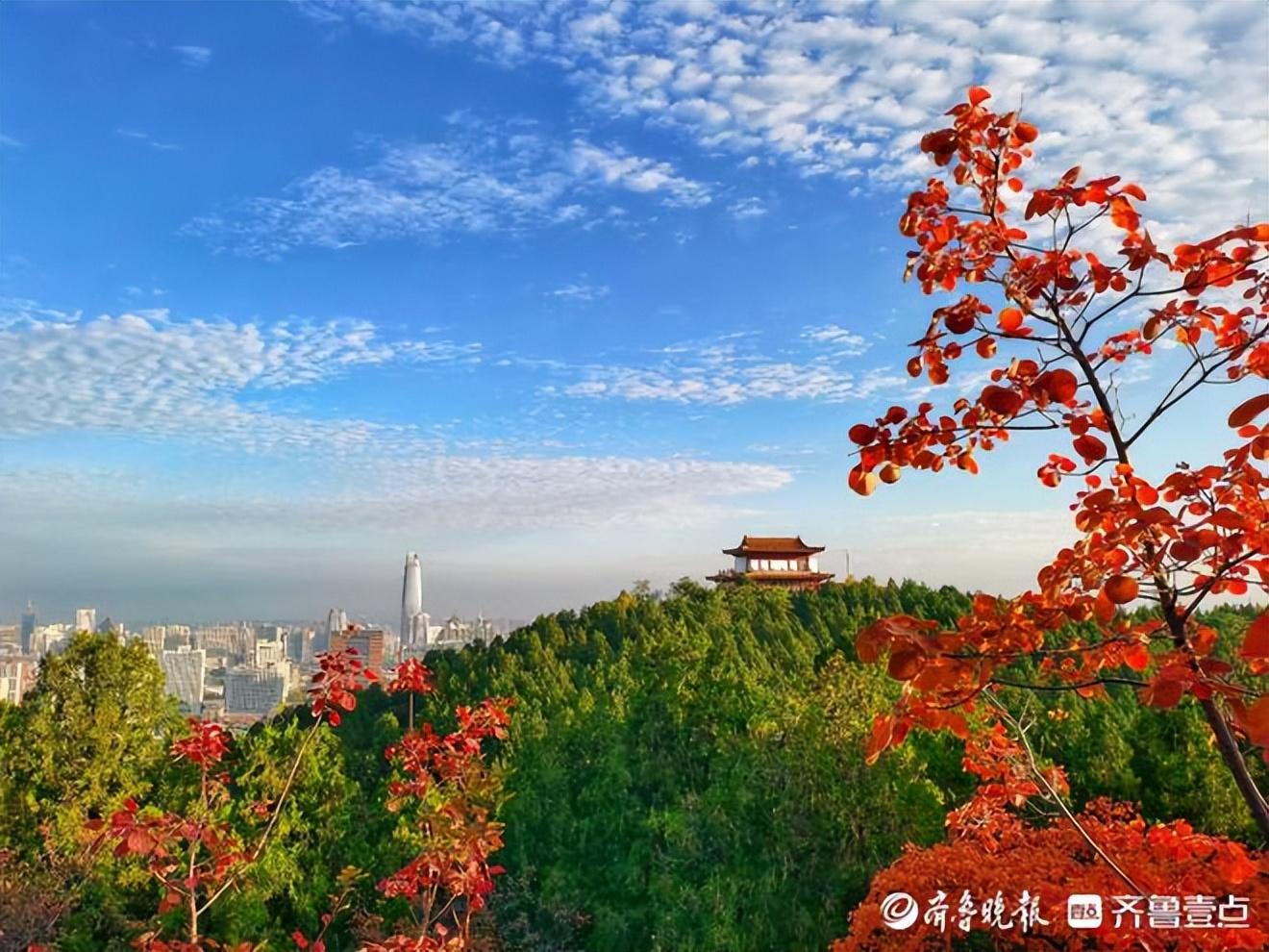 初冬诗词古句大全（9首初冬经典诗词古句）