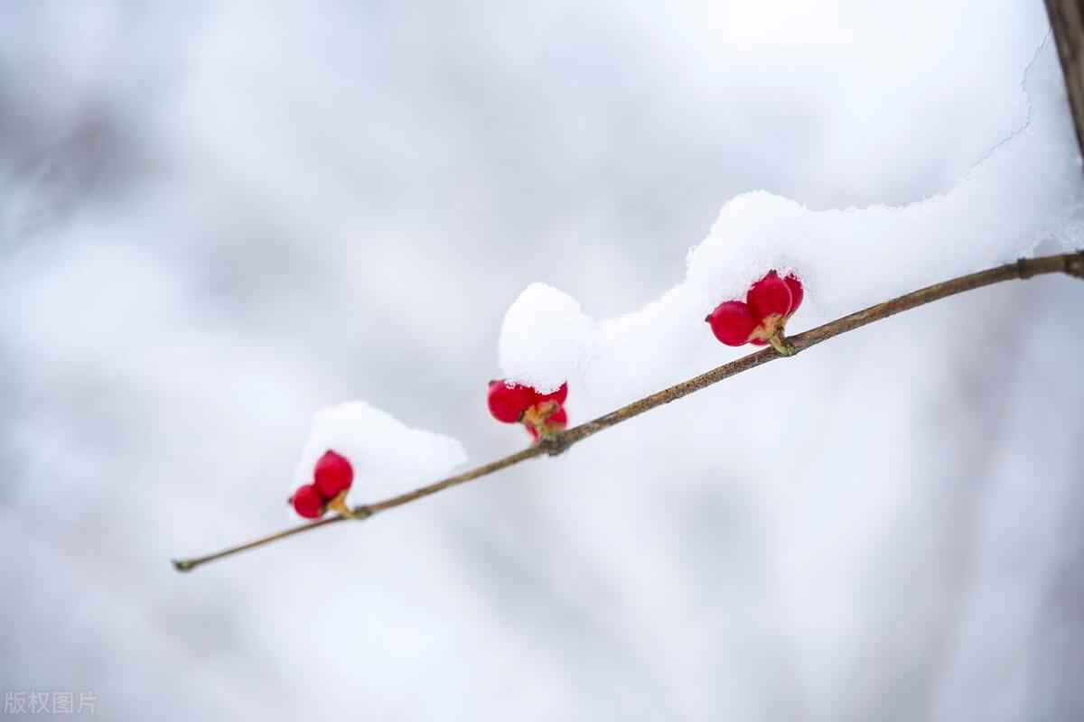 岁月不待人，匆匆又冬至（40首立冬古诗词）