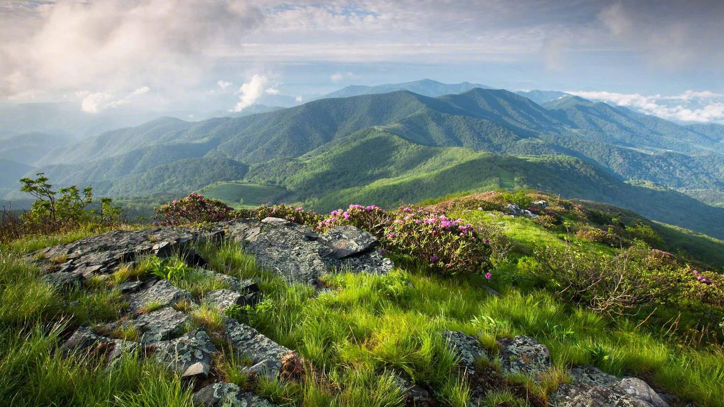 别样的风景高中作文（《沿途的风景》）