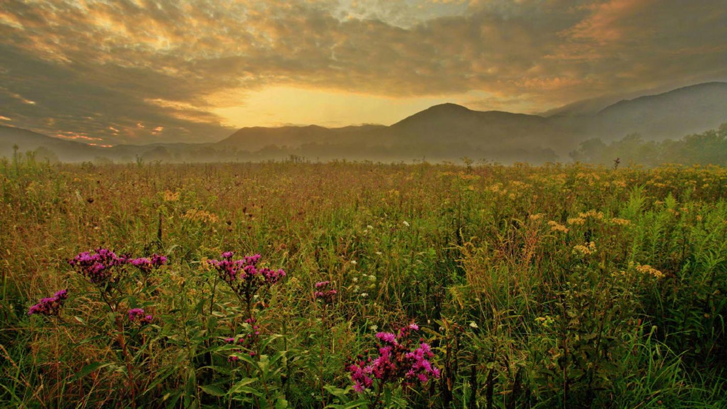 触动心灵的风景高中作文（《夏天的风景》）