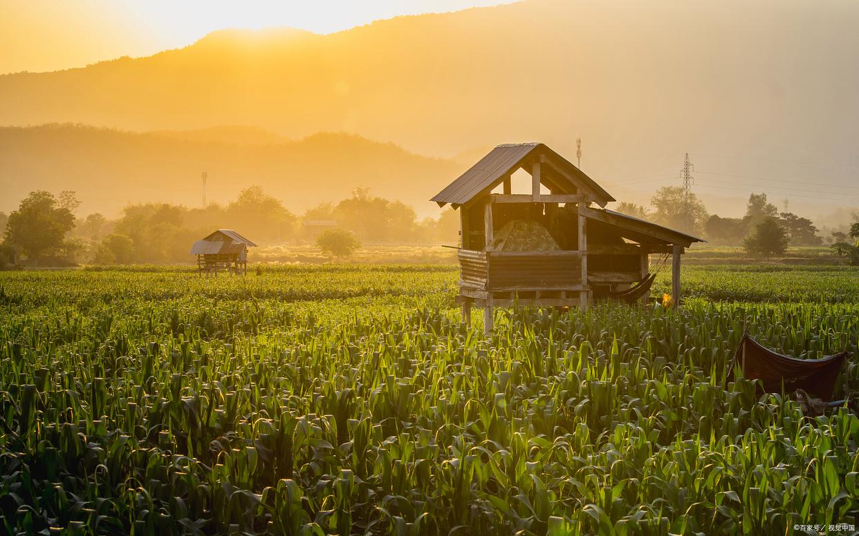 家住苍烟落照间，丝毫尘事不相关（精选46首赋闲古诗词）