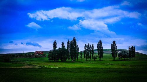 窗外的风景高中作文（《田野的风景》）