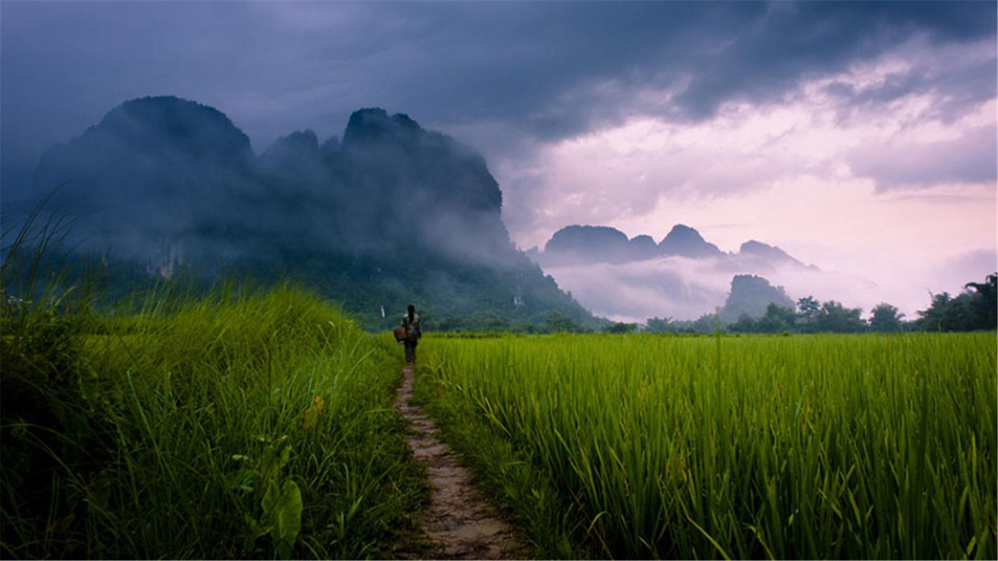 窗外的风景高中作文（《田野的风景》）