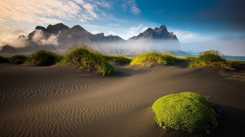 春天的风景高中作文（《美丽的风景》）