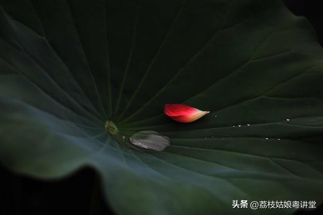 伤心又过中元节，城下招魂应更多（中元节的4首感伤古诗词）