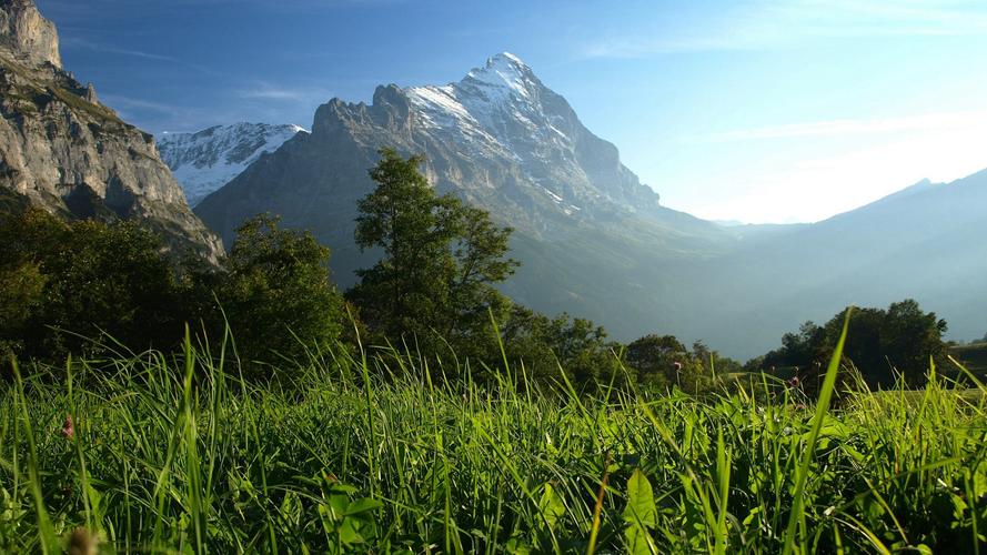 冬天的风景高中作文（《夏天的风景》）